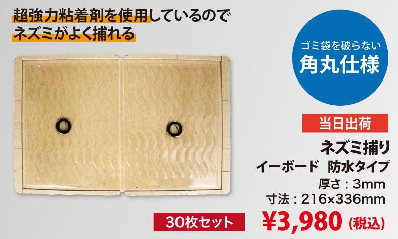 �ͥ������