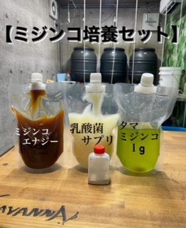 当店オリジナル制作】ミジンコ培養装置 ミジンコの密度増加が期待でき酸欠による全滅を防ぎます。タマミジンコの培養に！ 2日後発送 - ペット用品