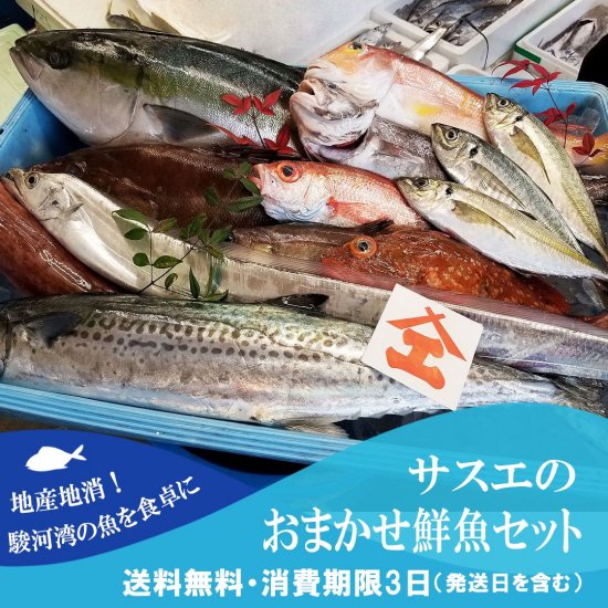 鮮魚 - サスエ前田魚店オンラインストア