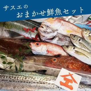 【BL001】<br>サスエのおまかせ鮮魚セット<br>【クール便・送料無料】