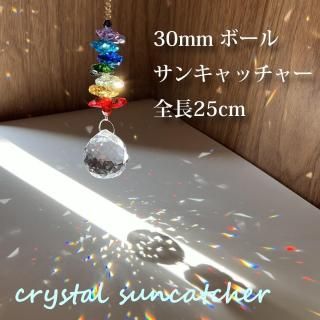 󥭥å㡼 ꥹܡ Ʃ Ĺ25cm 徽  Ż ꥹ륬饹 ƥꥢ ߤ   ץꥺ 