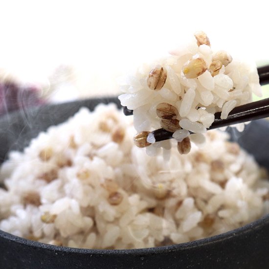 気になる食物繊維が白米の約30倍！ 讃岐もち麦「ダイシモチ」（1ｋｇ