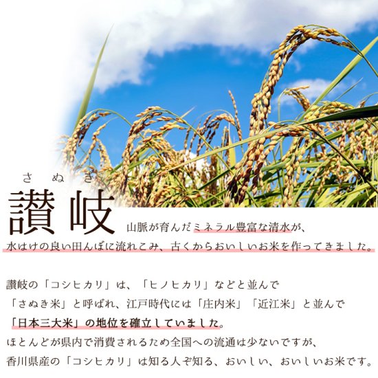 送料無料】【令和4年産新米】 香川県産 「コシヒカリ」 10kgセット - 【公式】讃岐もち麦ダイシモチ専門店｜まんでがんオンラインショップ