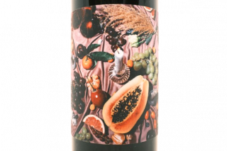 �ڥ����ۥ������˥㡦�إ륶�Υ��� Pinot 2