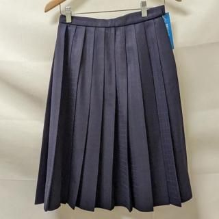 大原中学校スカート(冬63-60)の商品画像