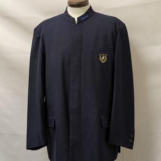 ⹻˻Ҿʵǥ175¤ξʲ