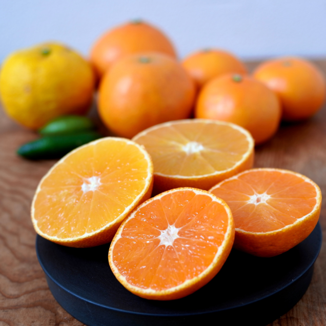 【おまかせ便】梶谷さんの季節の柑橘
