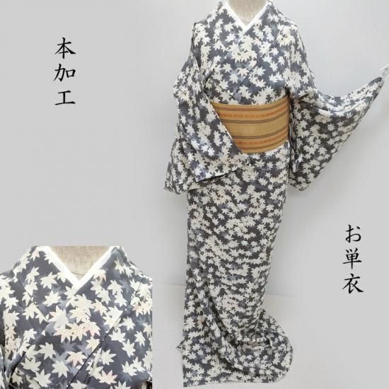 単衣 小紋 本加工染色 楓尽くし染 カジュアル 茶道着物 御仕立