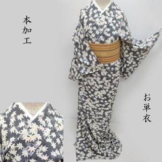 ڽΥॻ20%OFFñ  ܲù Ԥ 奢 ƻʪ Ω ѡȥù(3451)