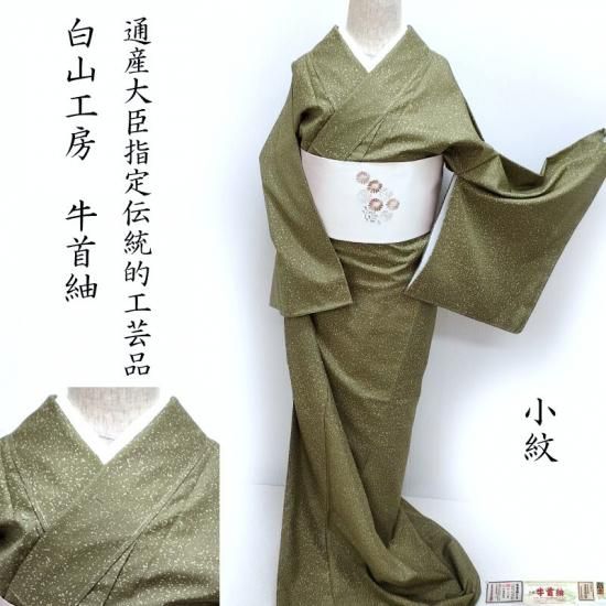 牛首紬 小紋 石川県指定無形文化財 大臣指定工芸品 蒔き糊染 カジュアル 御仕立上りガード加工済(3458) フォーマル 訪問着 御仕立上り 和服 着物コーディネート 袋帯 紬 訪問着 きもの お茶席着物 着物初心者 リサイクル着物 小紋 一昌 セレクトきもの一昌 大人の着物 藤林徳扇 婚礼着物 ブライダル  道中着 留袖 サイクル着物 綺麗な着物  名古屋帯 友禅 色無地