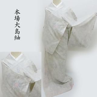 ������ �������� ���ʸ�� �����奢����ʪ ���Ω���(3470)