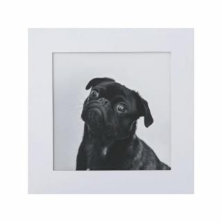 <{$productlist[num].name}>