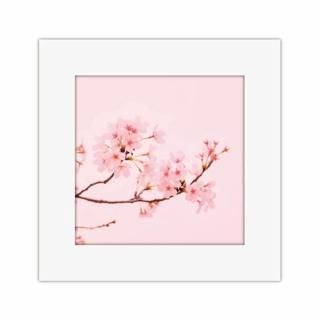 <{$productlist[num].name}>