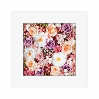 <{$productlist[num].name}>