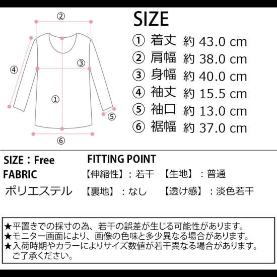 emis ロゴ入り クロップドTシャツ　韓国限定 210.jpg