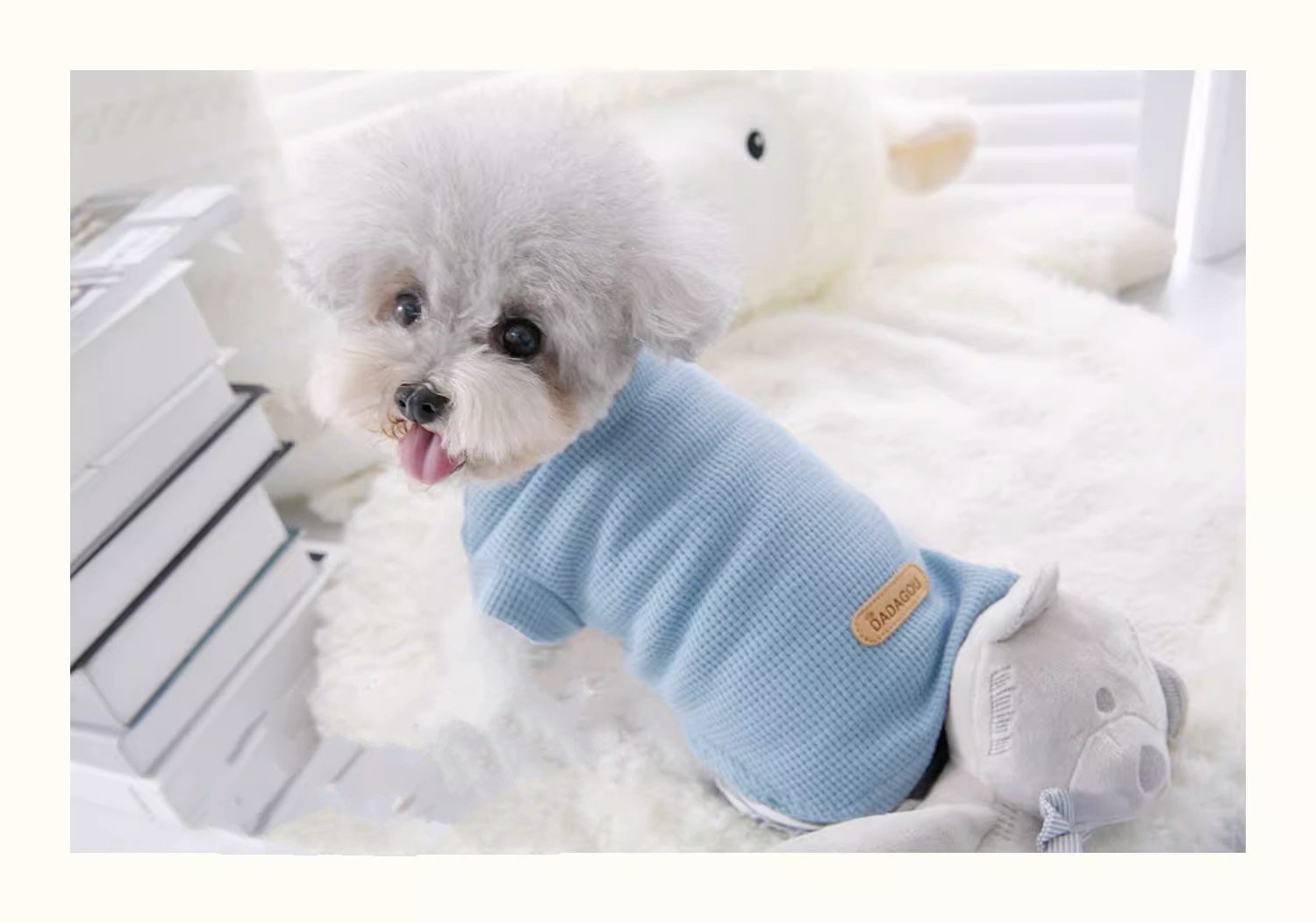 お買い得 ♡5malu♡様専用ページ ハンドメイド 犬服 シンプルタンク