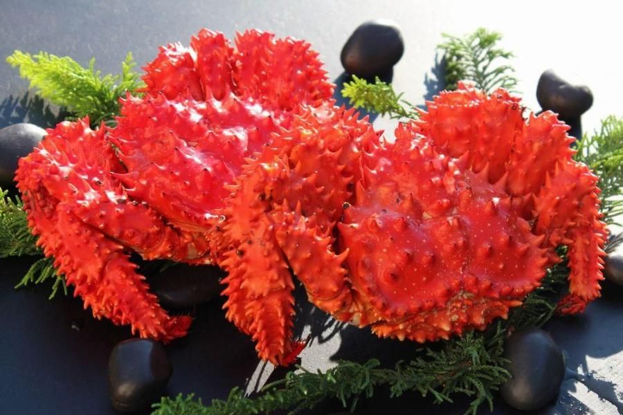 <{$productlist[num].name}>