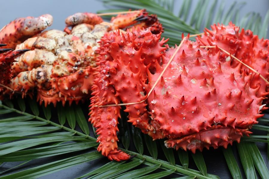 <{$productlist[num].name}>