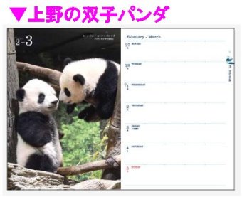 上野動物園の双子パンダの写真が使われています