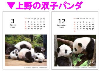 上野動物園の双子パンダの写真が使われています
