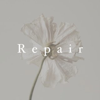 Repair