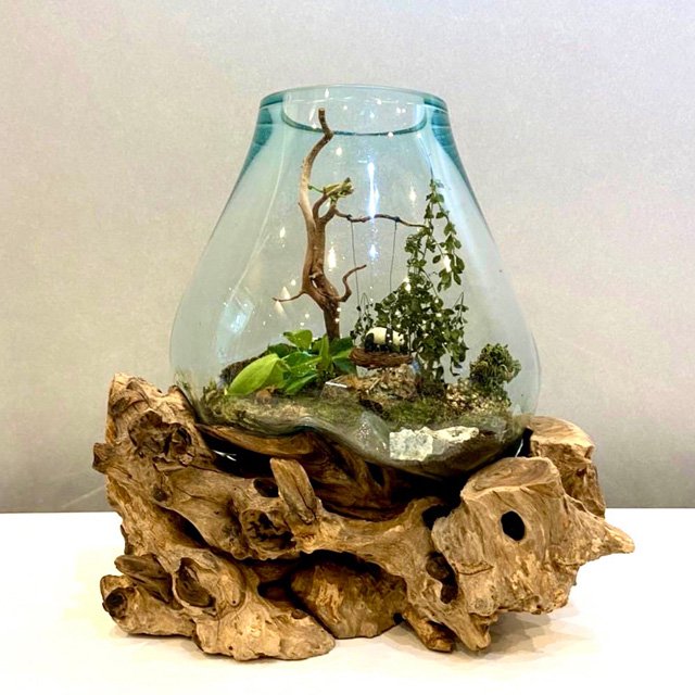 ガラス 流木 オブジェ 花瓶 金魚鉢 観葉植物 アクアリウム - 工芸品