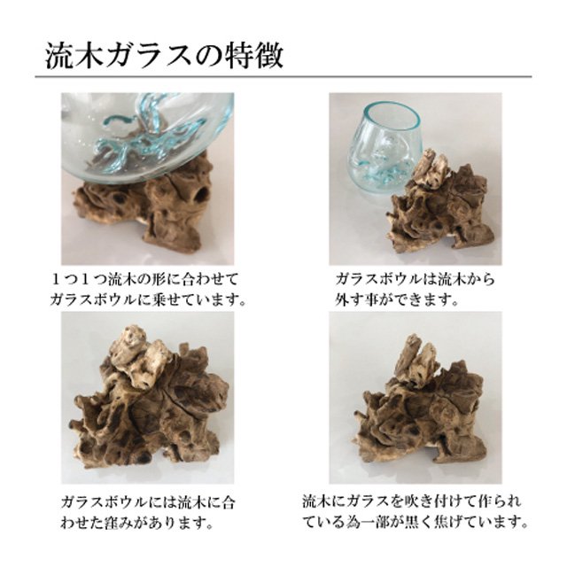 流木インテリア ガラスオブジェ 広口 Lサイズ 【雑貨 お香入れ 食器】