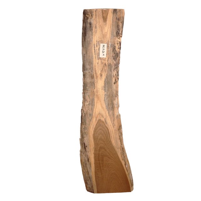 BELAKE 一枚板・無垢材コンテンツ 流木インテリア DIY木材 エンジュ材 槐 1020 無垢材 一枚板
