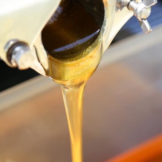 2025ǯνɴ֡ۤϤߤ 250g