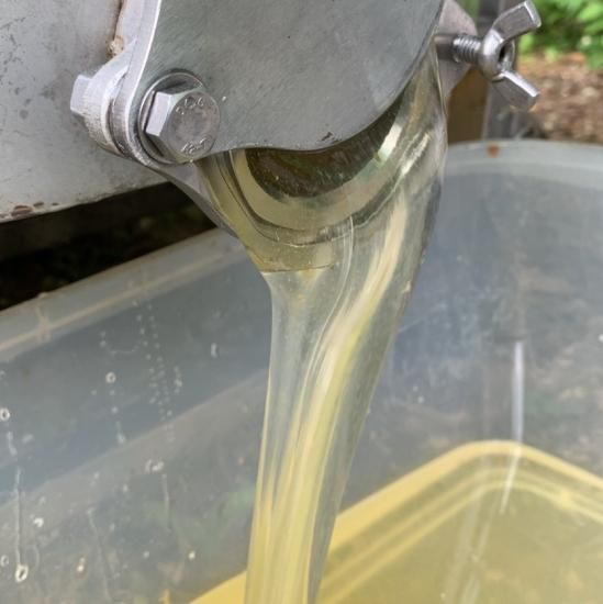 2025ǯνڥۤϤߤ 1000g