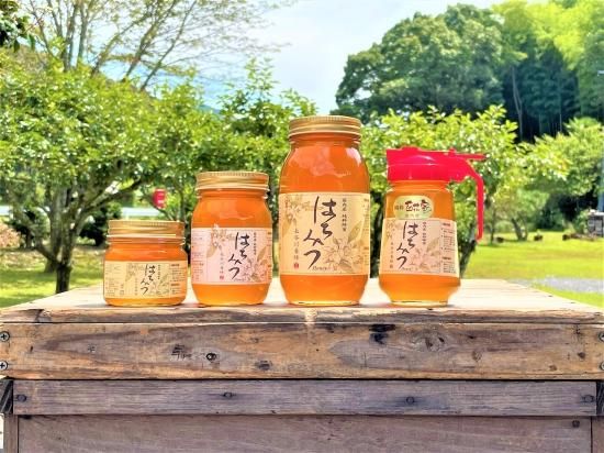 ڥեȥåȡ500g450g󥿥å