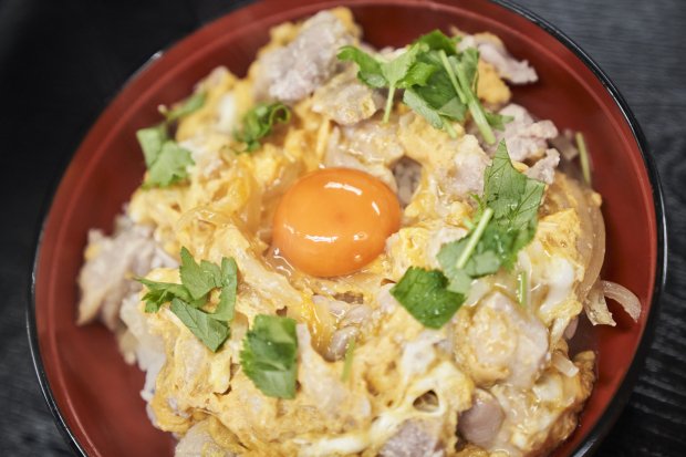 うつぎことこ 枕 親子丼 販売