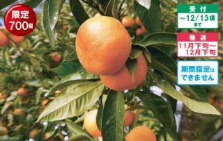 ̪δ²λߤ 11ܡȯϡ