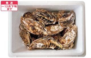 ľͯĮ޸лɴݤβ(ײǮĴ)