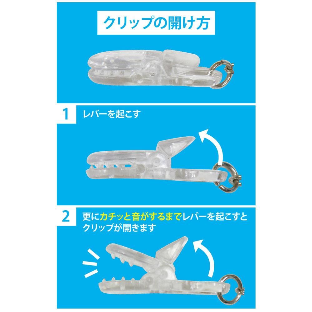 【即購入ok!!】ガルネク コンプリートベスト サイン入り完全限定生産BOX 即購入ok!!】ガルネク コンプリートベスト サイン入り完全限定