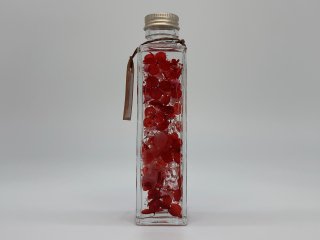 植物ノ瓶詰メ標本Collection　「 椿−つばき−」ロング瓶