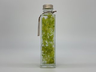 植物ノ瓶詰メ標本Collection　「鶯−うぐいす−」ロング瓶