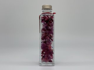 植物ノ瓶詰メ標本Collection　「菫−すみれ−」ロング瓶