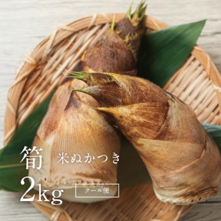 タケノコ 2kg 米ぬかつき クール便（大・中・小混合3〜5本入り）