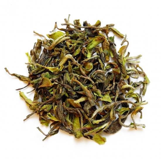 2025աHimalayan Spring ҥޥ󡦥ץ No.240 2025 Spring 14g
