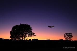 ルーク・オザワ｜nine museum