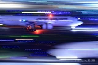 ルーク・オザワ｜nine museum