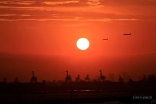 ルーク・オザワ｜nine museum