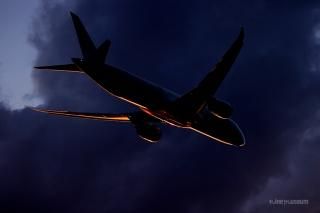 ルーク・オザワ｜nine museum