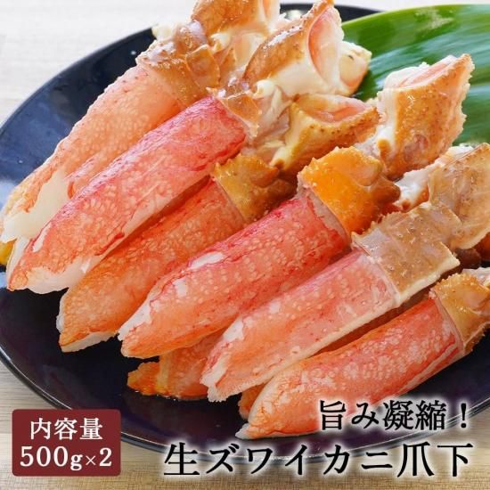 भȤǿ٤䤹!磻 ޲ 500g2