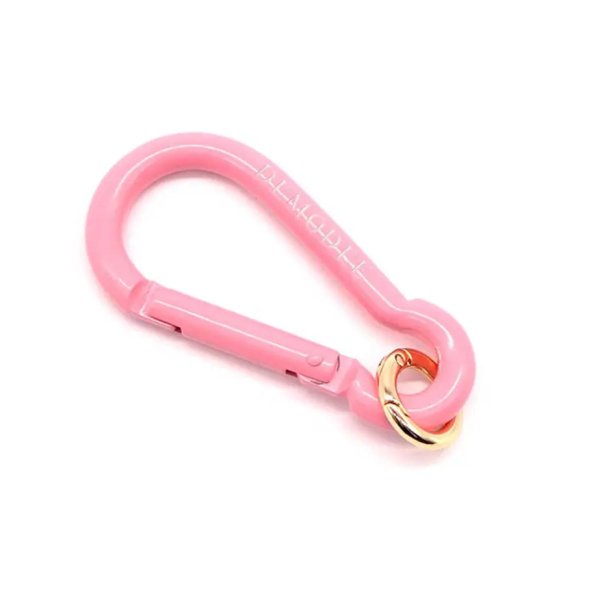 <img class='new_mark_img1' src='https://img.shop-pro.jp/img/new/icons11.gif' style='border:none;display:inline;margin:0px;padding:0px;width:auto;' />DEMODEE デモデ 　Carabiner PINK