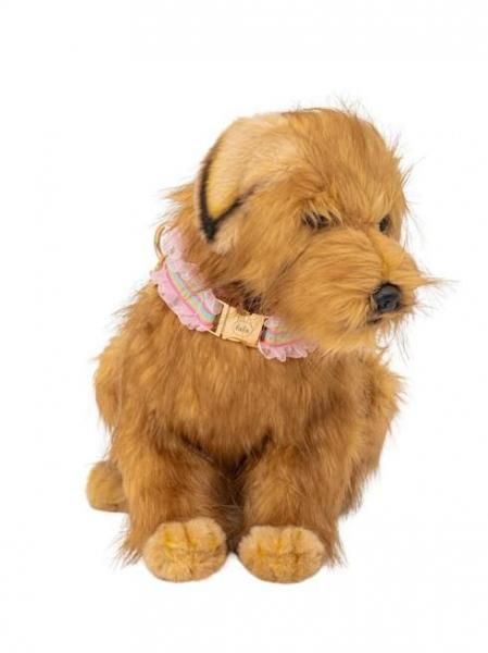 fafa  フェフェ WILLOW ROSE | ドッグカラー - A