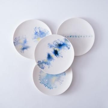 ͭҡmoca plate֥͡롼١