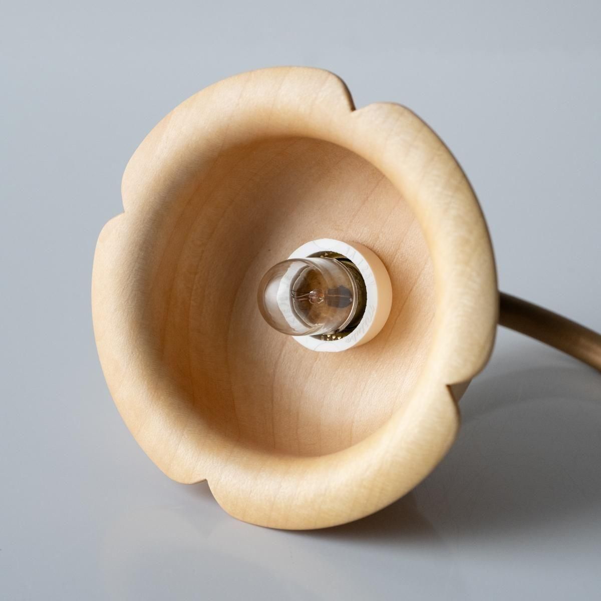 ʹΡͳڹ hitotokiˡز֡ߥߥΥ