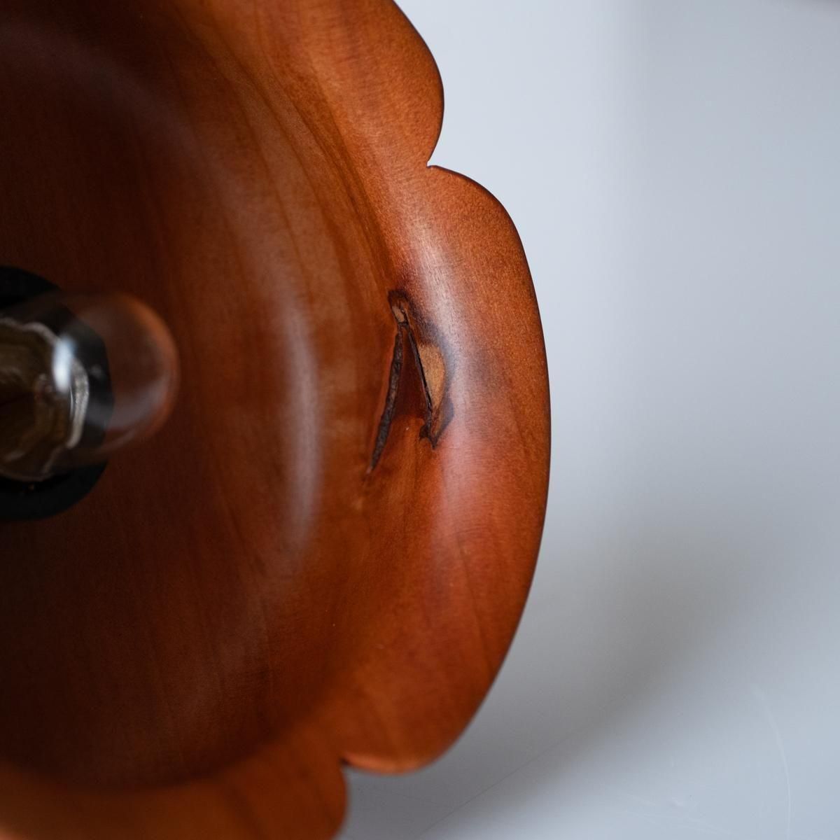 ʹΡͳڹ hitotokiˡز֡ޥʥߥ